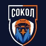 Соколиная охота