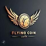FLYING PUMP COIN 飞币 CALLS 🐼🍜