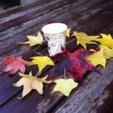 𝓜𝓸𝓶𝓲𝓳𝓲🍁