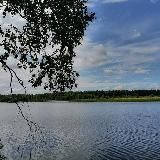 ДОРОЖНЫЕ ЗНАКИ