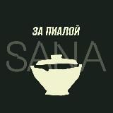 За Пиалой | Сана Китайский чай | SANA Tea