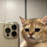 шиз