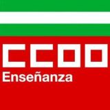 CCOO Enseñanza | Personal Laboral de la Escuela Pública