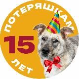Потеряшки | Помощь животным
