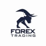 Xauusd Expert