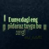 Shoxona_radnoylar