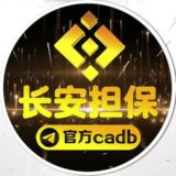 🔰长安官方导航