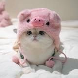 Похуй на жизнь, но не на игру