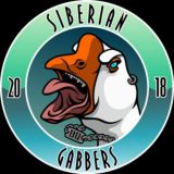 Siberian Gabbers 5 Years