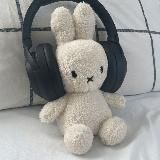 ᯓ ִ໋💭 ۪֗ 𝗺𝗼𝗼𝗻 𝗿𝗮𝗯𝗯𝗶𝘁𝘀 ꜞꜝ🐇 ׂ֪ ꒷ִ ׂ ᮫