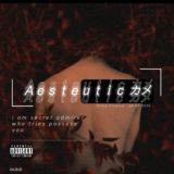 Aesteutic カメ