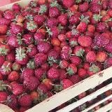 Ягода/фрукты/форель из Киргизии в Томске😋