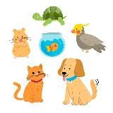 HappyPets 🐱🐶 | Скидки на товары для животных 🔵 Ozon 🟣 WB 🟡 Yandex