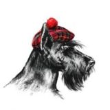 Scotch Terrier