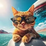 TRAVEL CODE • Ирина Хабибуллина