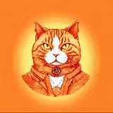 CRYPTO CAT | Molchanov Andrey