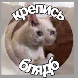 Крепись