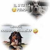 🙇🏻♀𝙗𝙪𝙧𝙣 𝙃𝙖𝙧𝙧𝙮 𝙖𝙣𝙙 𝙗𝙨𝙝𝙤 𝙈𝙞𝙡𝙠𝙮🫶