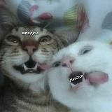 𝙥𝙖𝙨𝙩𝙮𝙭𝙫𝙡