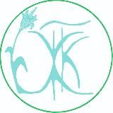 Троицкий Женский Клуб