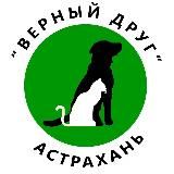 ВЕРНЫЙ ДРУГ. АСТРАХАНЬ. 🐶vdrug_priut