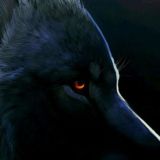 Ai Tools