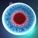 ciencia, salud y tecnología 🧪