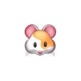 Биржевой Хомяк 🐹