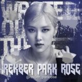 OPEN | REKBER PARK ROSE