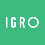 IGRO. Отвечаем за слова