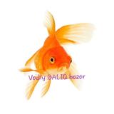 Vodiy BALIQ bozori