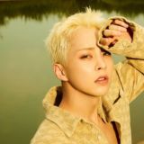 XIUMIN LAND