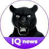 IQmonitoring - коротко о главном