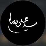 سید مهدی حسینی