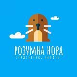 👩‍🎓Розумна Нора - Допомога студентам👨‍🎓