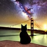 Bay Area Persians