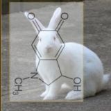 MK Ultra et l idéologie kabbale