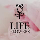 Цветы Челны, Доставка цветов 🌸 63 комплекс