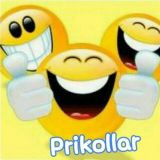 Prikollar gruppasi😂😂😂