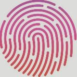 FNSDOC