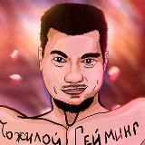 Пукич