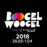BoogelWoogel