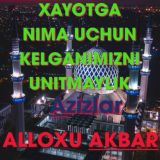 DINIM ISLOM