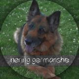 nering.germansh