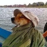 Быть живым