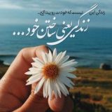 ❖ مجله •🍀• زندگی ❖
