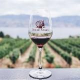 Винная Ярмарка🍷