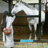Musulmanlar