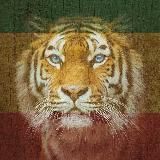 Valdis Reggae