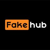 FakeTaxi Leaks